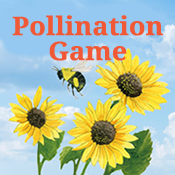 Pollination Game