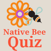 bee quiz