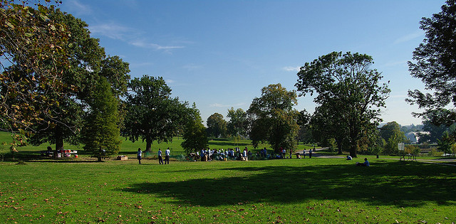 park