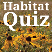 habitat quiz