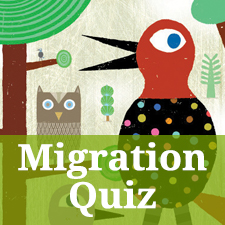 Migration quiz button