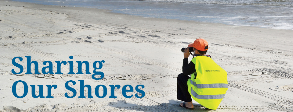 Share Our Shores banner