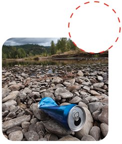 Litter